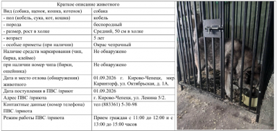 Собака №1
