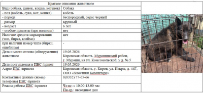 Собака № 1