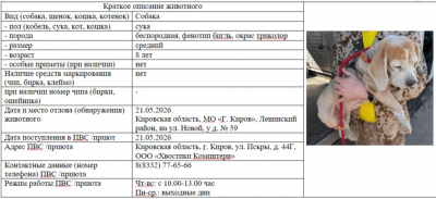 Собака № 1