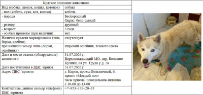 Собака № 1