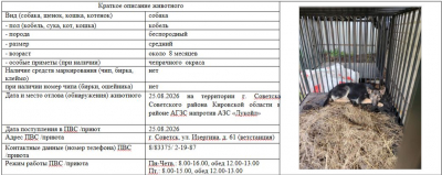 Собака № 1