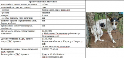Собака № 1