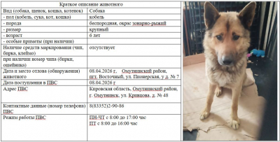 Собака № 1