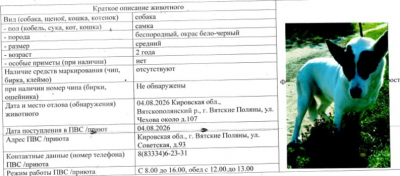 Собака № 1