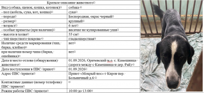 Собака №1