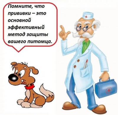 С 12 октября по 3 ноября 2026 года в МО "Город Киров" пройдет плановая выездная вакцинация собак и кошек против бешенства
