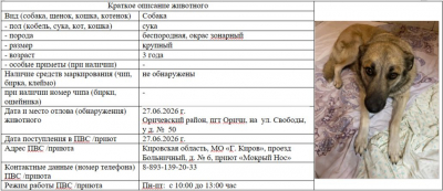 Собака № 1