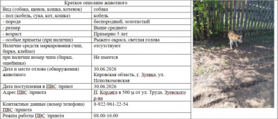 Собака № 1