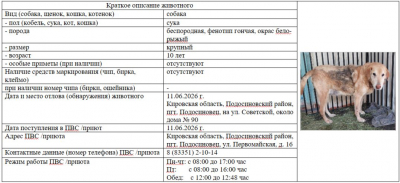 Собака № 1
