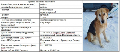 Собака № 1